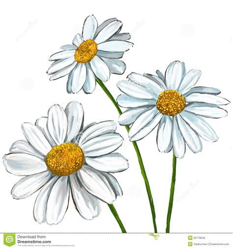 daisy drawing images